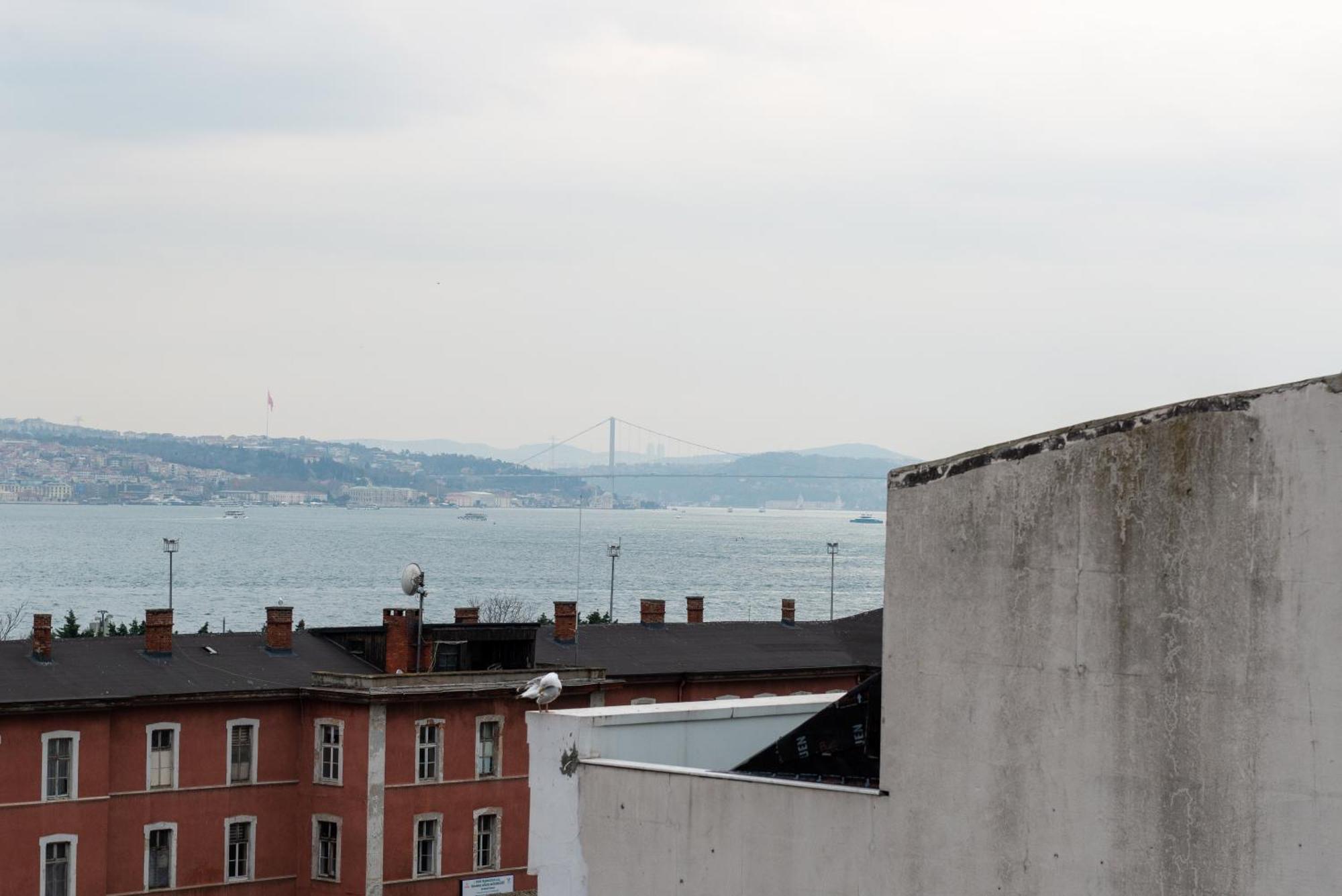 Mr. Bird Hotel İstanbul Oda fotoğraf